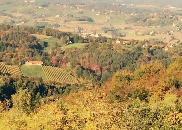 Tischlerwirt Kitzeck im Sausal