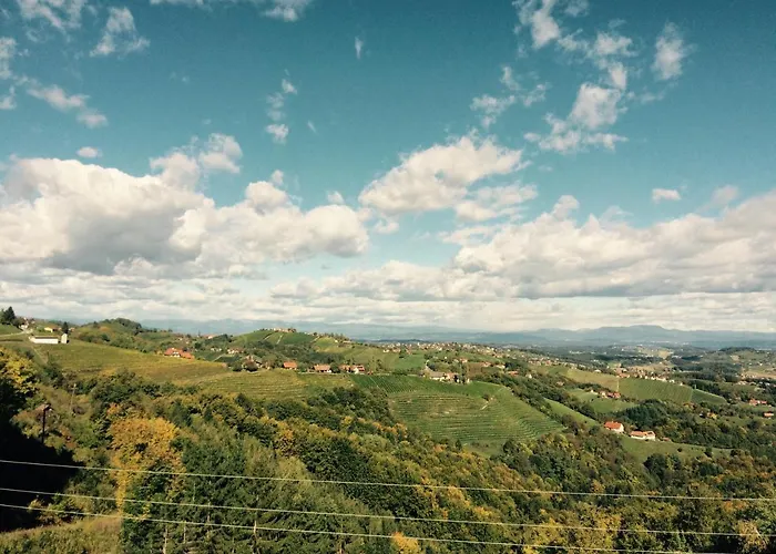 Tischlerwirt Hotel *